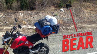 Illustration for article titled This Nutty Bastard Rode A Honda Grom From Portland To Alaska